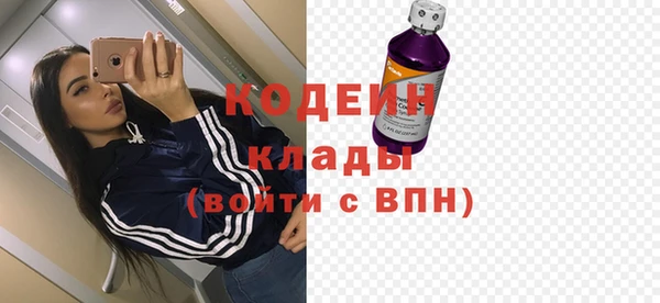 винт Инта