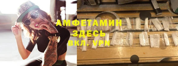 гидра Каменка
