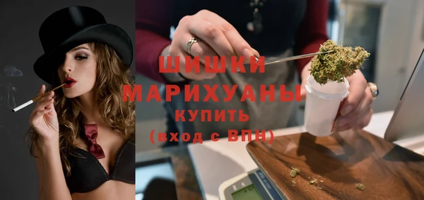 гидра Каменка