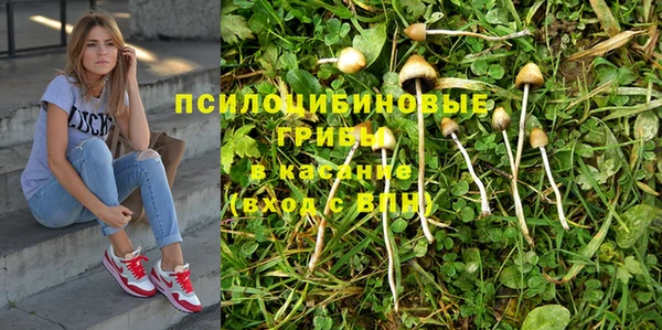 метадон Каменногорск