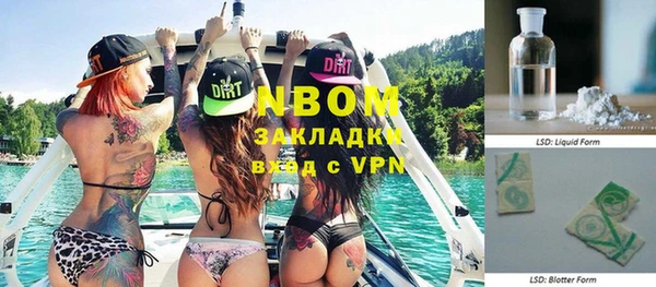 винт Инта