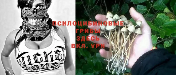 гидра Каменка