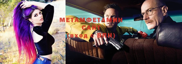 гидра Каменка