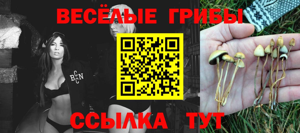 Псилоцибиновые грибы Psilocybine cubensis  Галлюциногенные грибы Cubensis  Мегион 