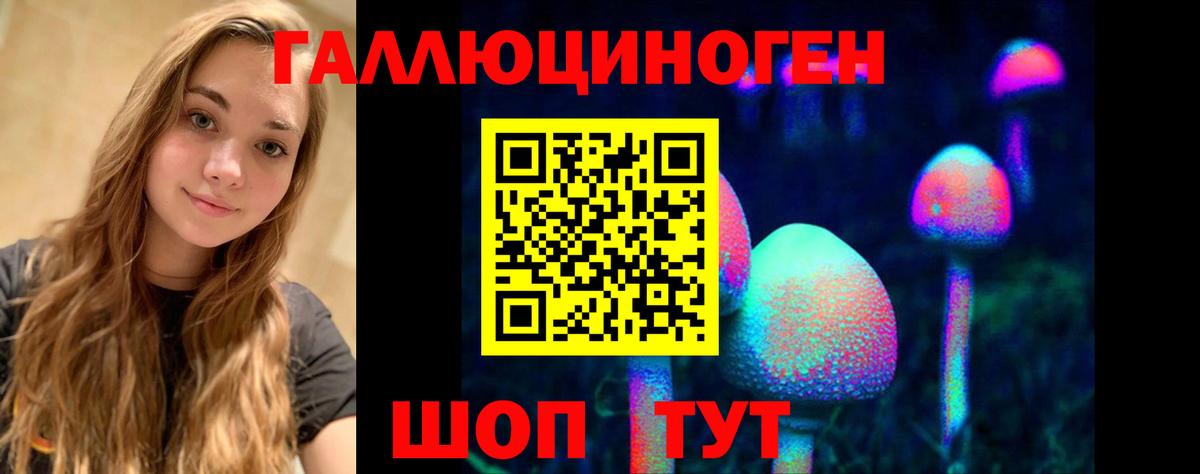 Псилоцибиновые грибы Cubensis Мегион