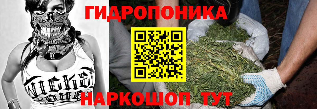 Шишки марихуана OG Kush Мегион